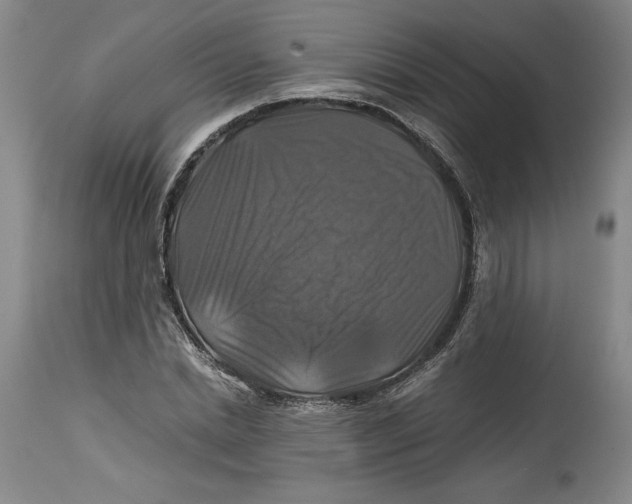 X0000114390830200911061513