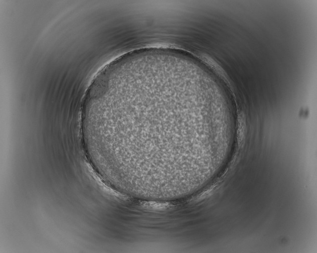 X0000114390831200911061513