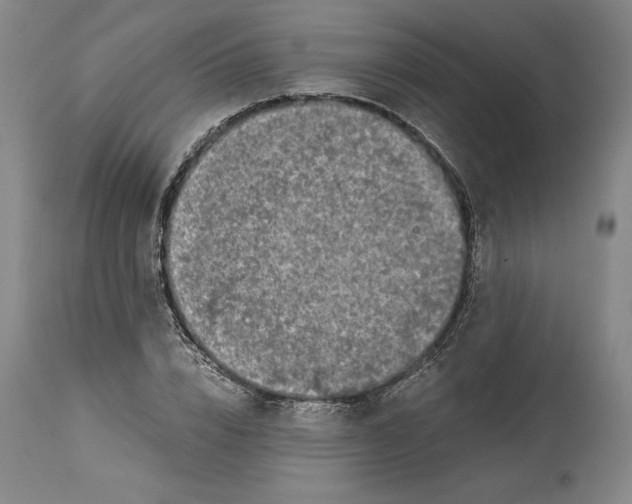 X0000114390832200911061513