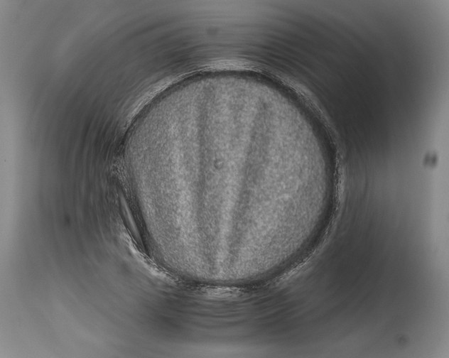 X0000114390833200911061513