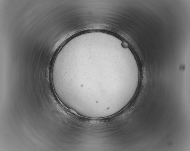 X0000114390834200911061513