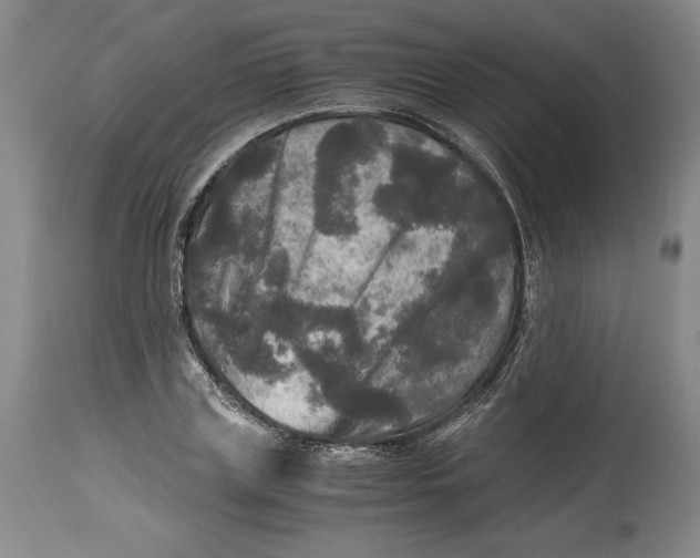 X0000114390835200911061513