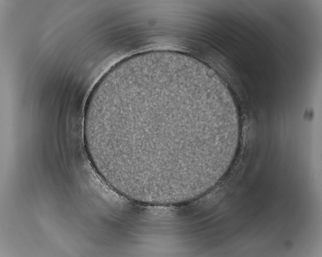 X0000114390836200911061513