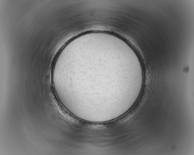 X0000114390837200911061513