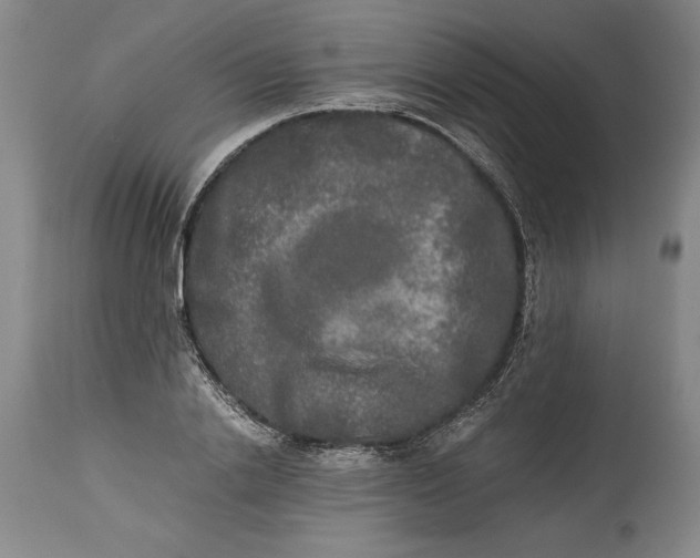 X0000114390838200911061513