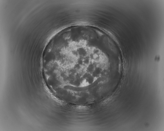 X0000114390839200911061513