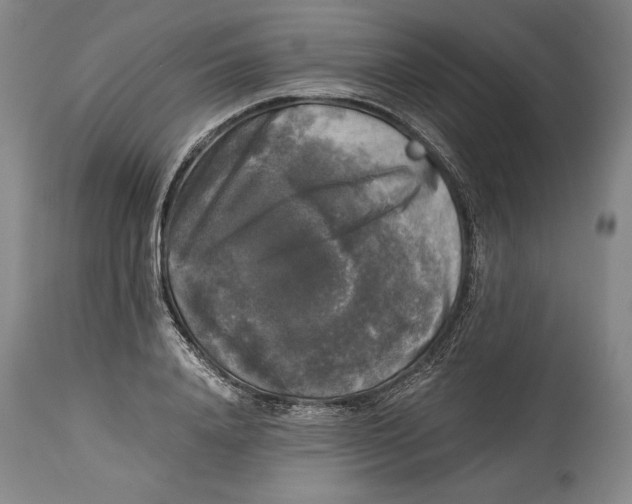 X0000114390840200911061513