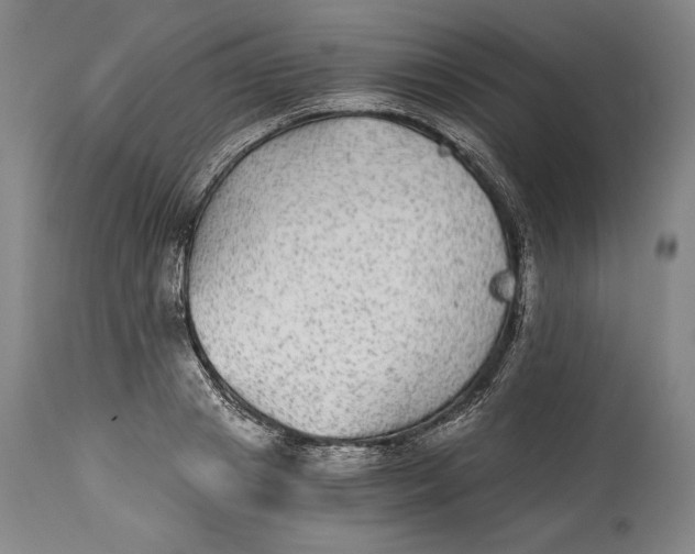 X0000114390841200911061513