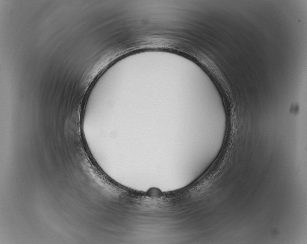 X0000114390842200911061513