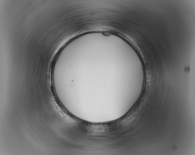 X0000114390843200911061513