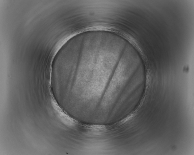 X0000114390844200911061513