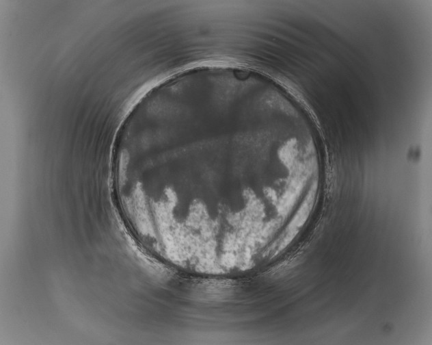 X0000114390845200911061513