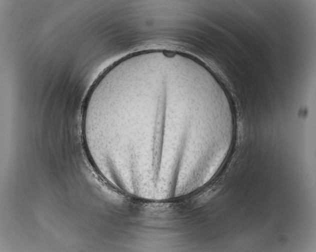 X0000114390846200911061513