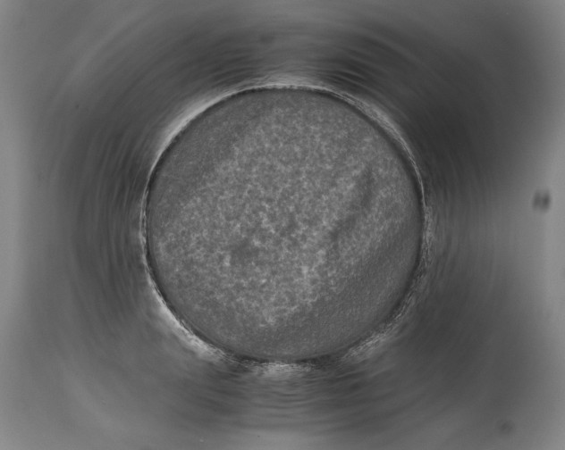 X0000114390847200911061513