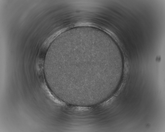X0000114390849200911061513