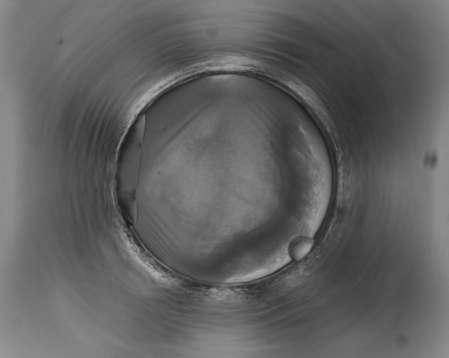 X0000114390850200911061513