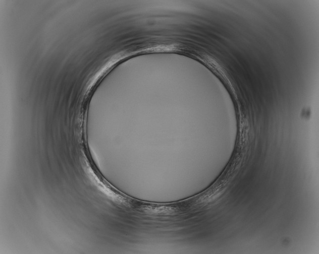 X0000114390851200911061513