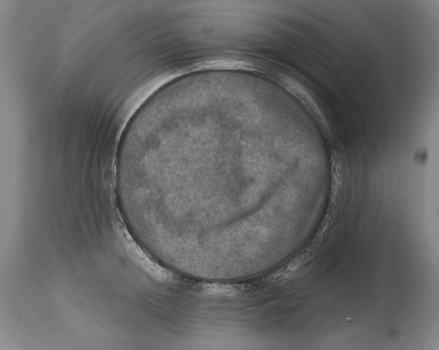 X0000114390852200911061513