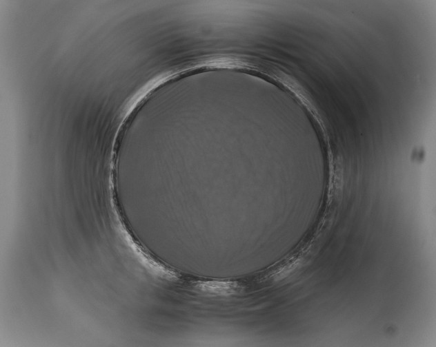 X0000114390853200911061513