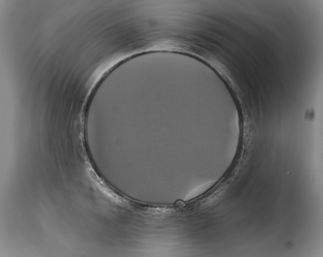 X0000114390854200911061513