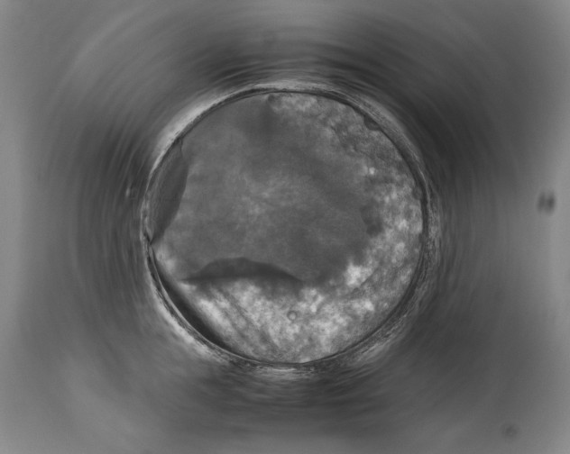 X0000114390855200911061513