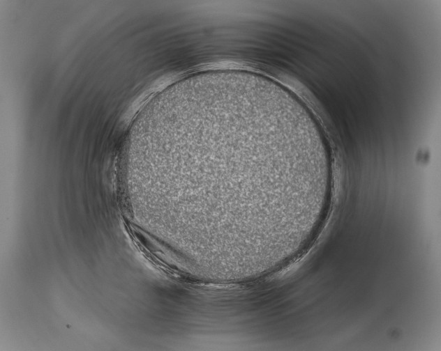 X0000114390857200911061513
