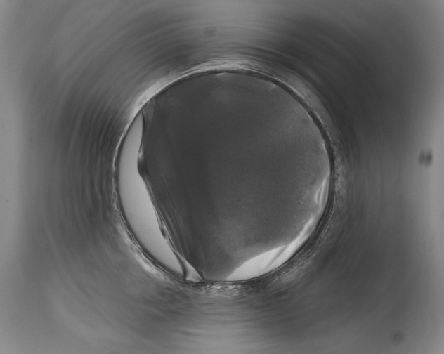 X0000114390858200911061513