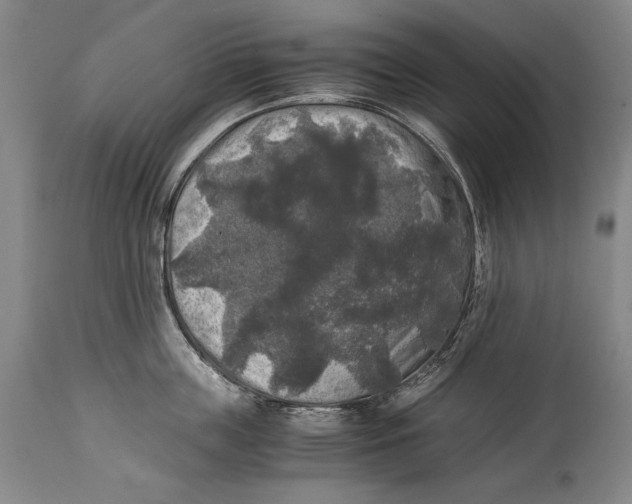 X0000114390859200911061513