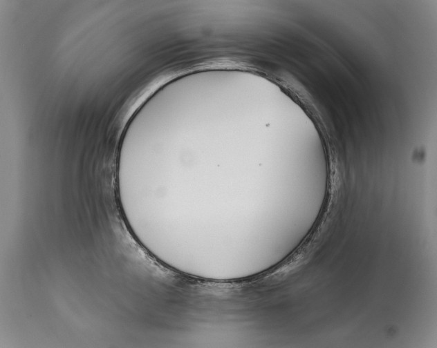 X0000114390860200911061513
