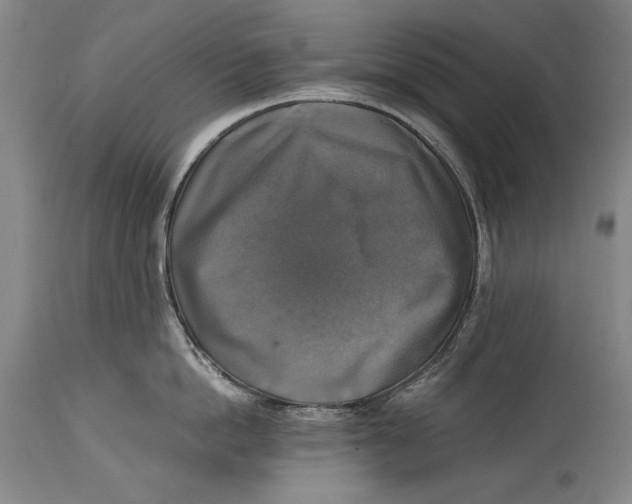 X0000114390862200911061513