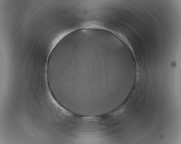 X0000114390863200911061513