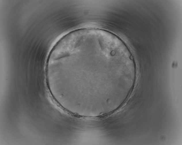 X0000114390864200911061513