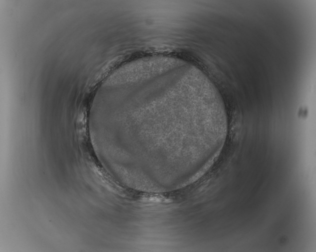 X0000114390866200911061512