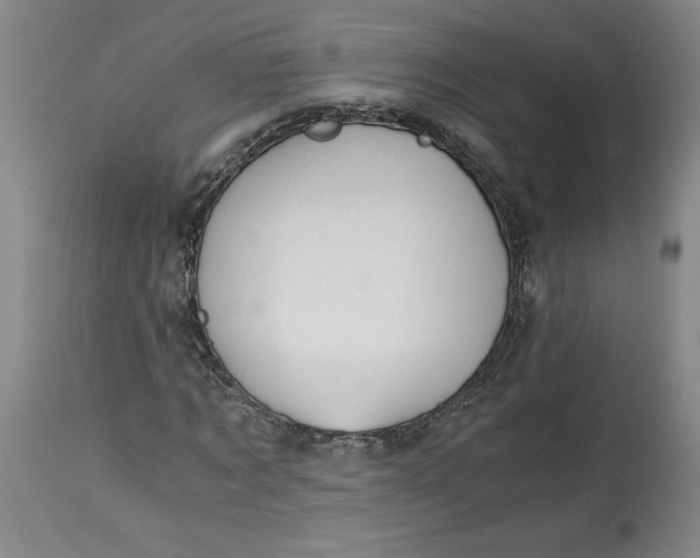 X0000114390869200911061512