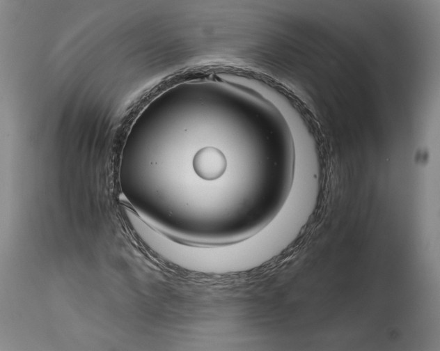 X0000114390872200911061512