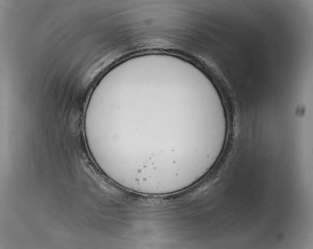 X0000114390873200911061512