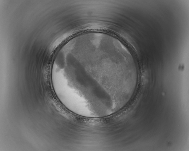 X0000114390874200911061512