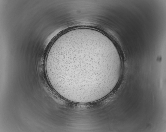X0000114390875200911061512