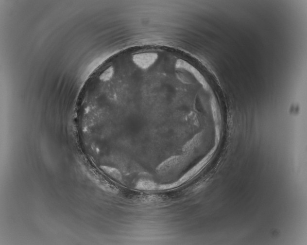 X0000114390879200911061512