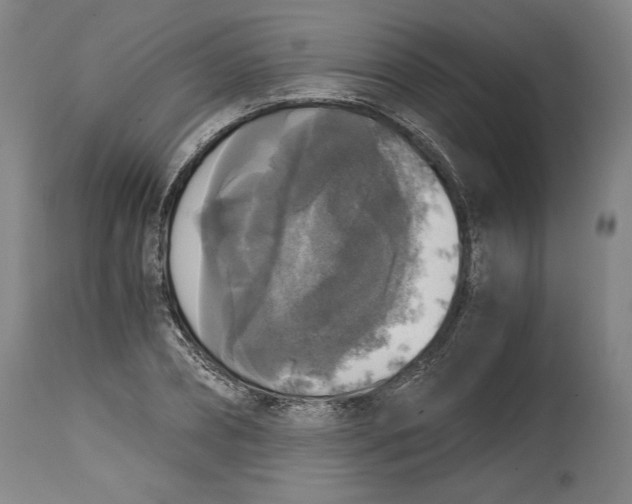 X0000114390882200911061512