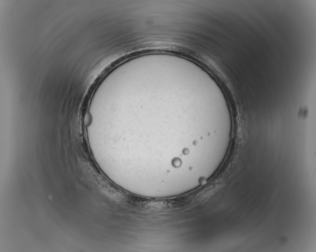 X0000114390883200911061512