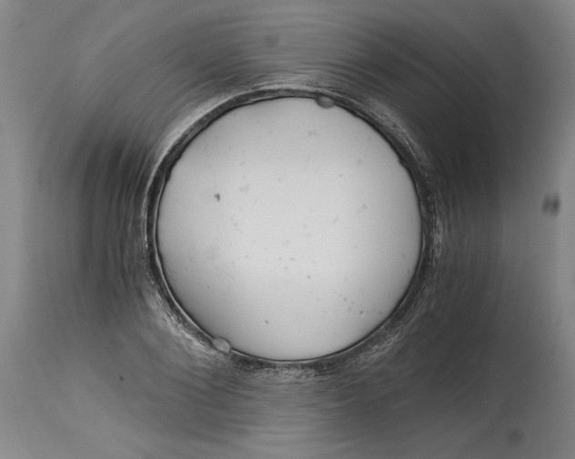 X0000114390884200911061512