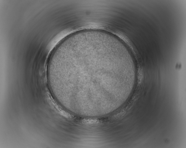 X0000114390886200911061512