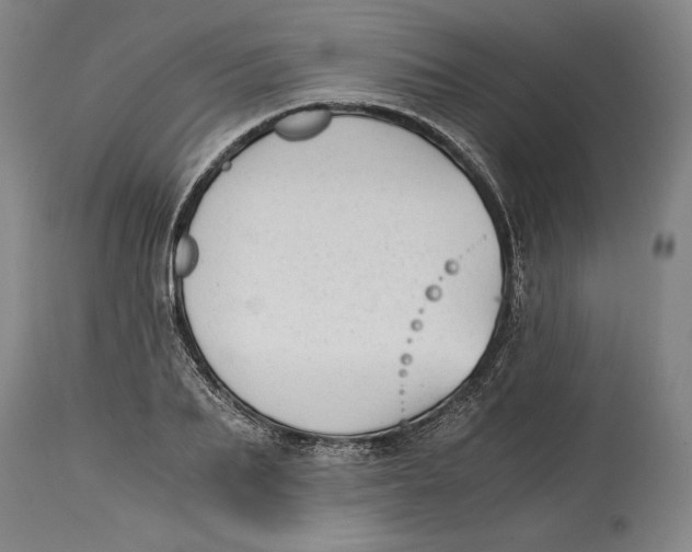 X0000114390887200911061512