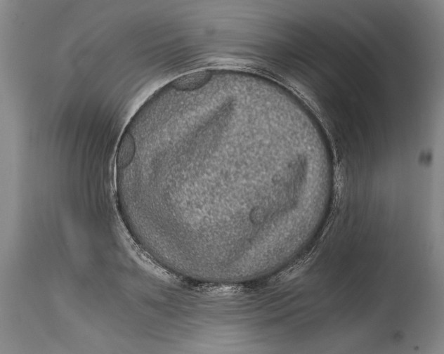 X0000114390891200911061512