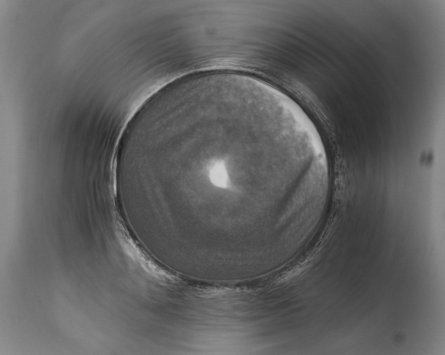 X0000114390892200911061512