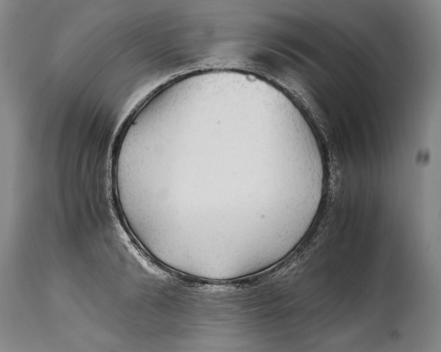 X0000114390894200911061512