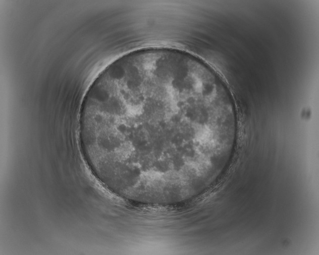 X0000114390895200911061512