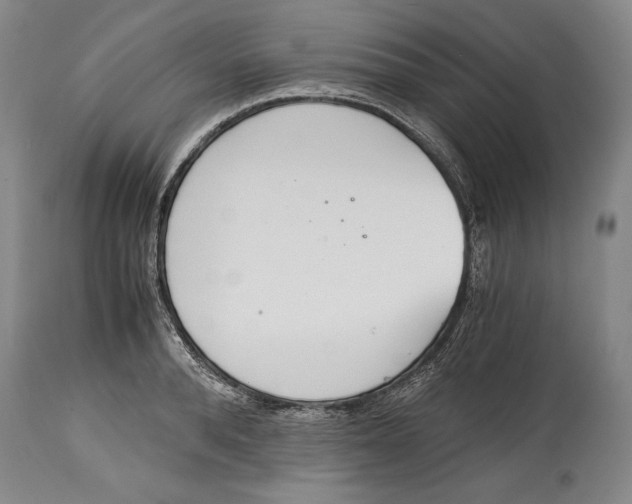 X0000114390896200911061512