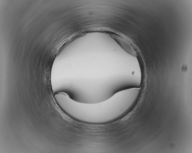 X0000114390897200911061512